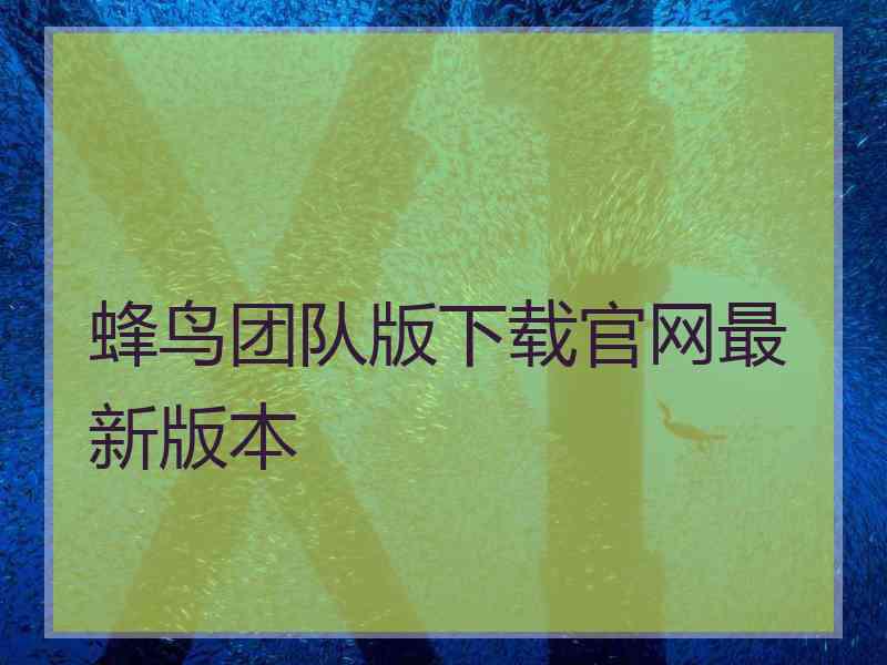 蜂鸟团队版下载官网最新版本