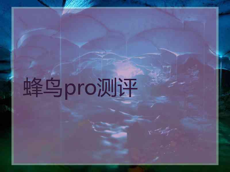 蜂鸟pro测评