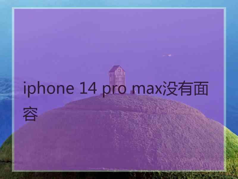 iphone 14 pro max没有面容