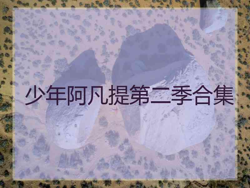 少年阿凡提第二季合集