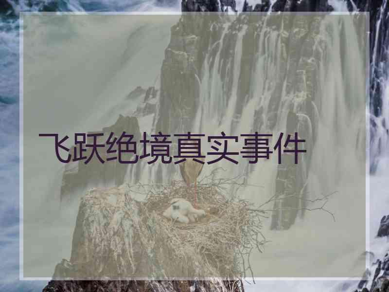 飞跃绝境真实事件