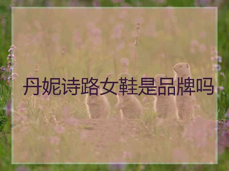 丹妮诗路女鞋是品牌吗