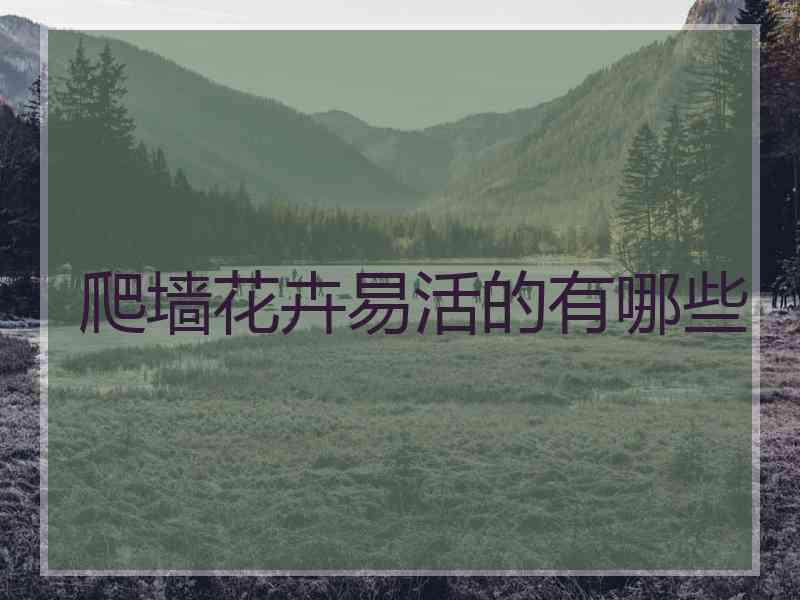 爬墙花卉易活的有哪些