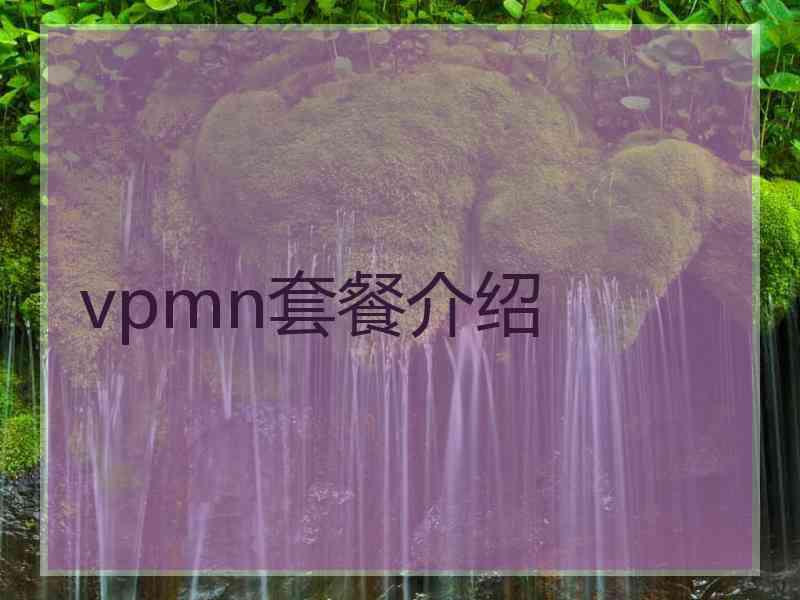vpmn套餐介绍