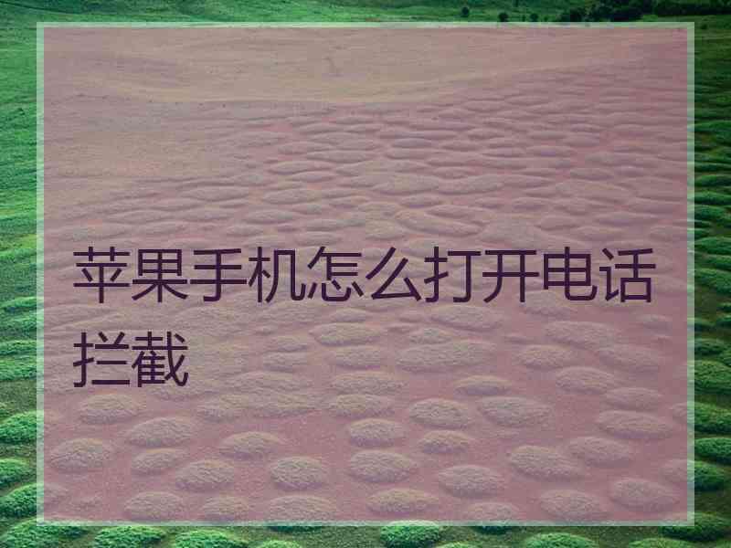 苹果手机怎么打开电话拦截