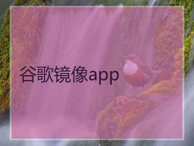谷歌镜像app