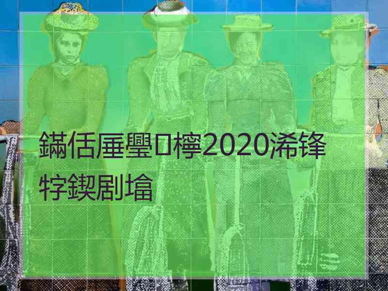 鏋佸厜璺檸2020浠锋牸鍥剧墖