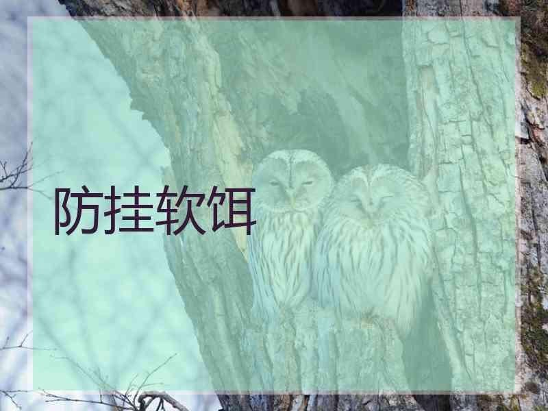 防挂软饵