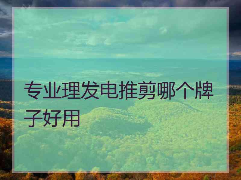 专业理发电推剪哪个牌子好用