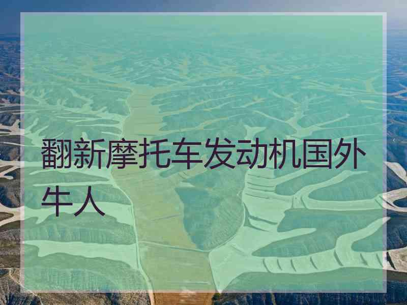 翻新摩托车发动机国外牛人