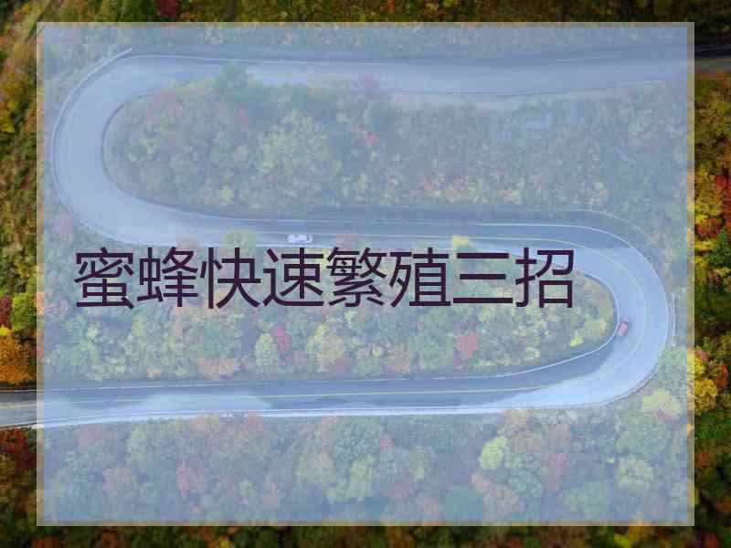 蜜蜂快速繁殖三招