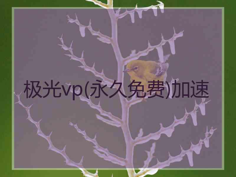 极光vp(永久免费)加速