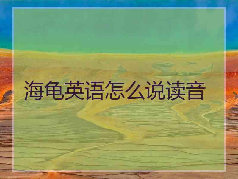 海龟英语怎么说读音