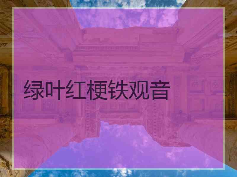 绿叶红梗铁观音