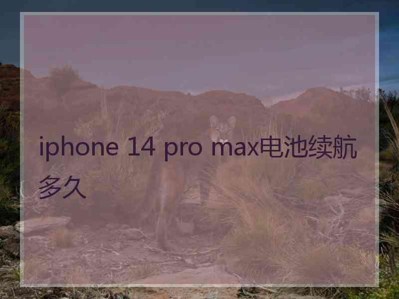 iphone 14 pro max电池续航多久