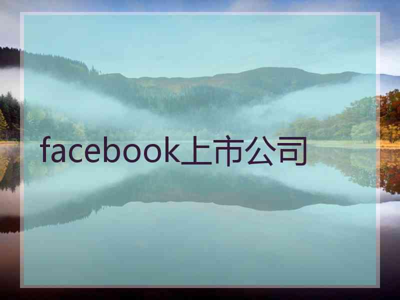 facebook上市公司