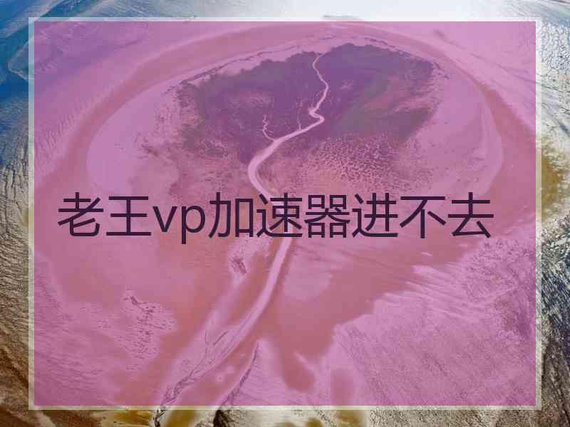 老王vp加速器进不去