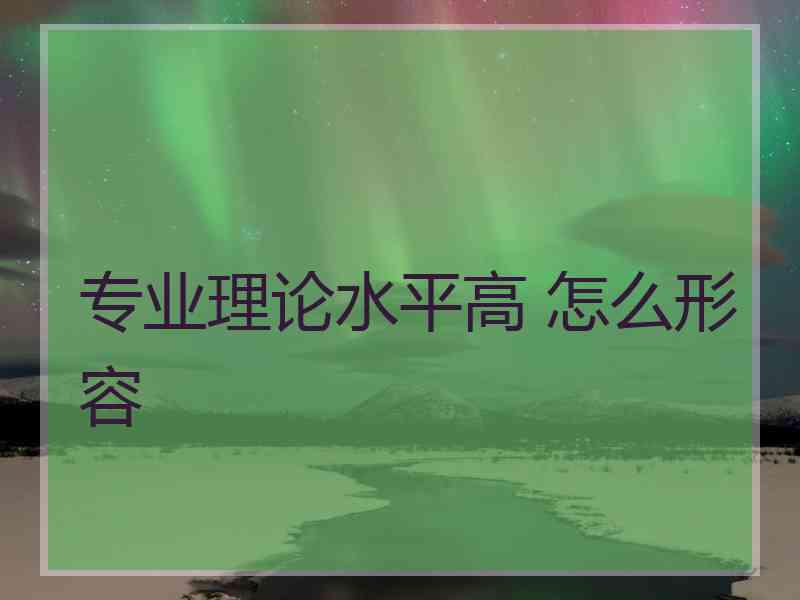 专业理论水平高 怎么形容