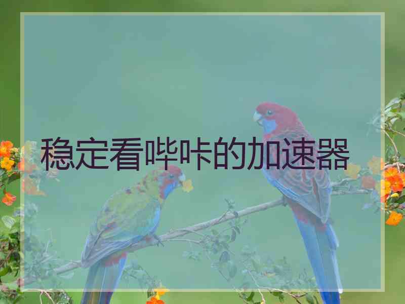 稳定看哔咔的加速器