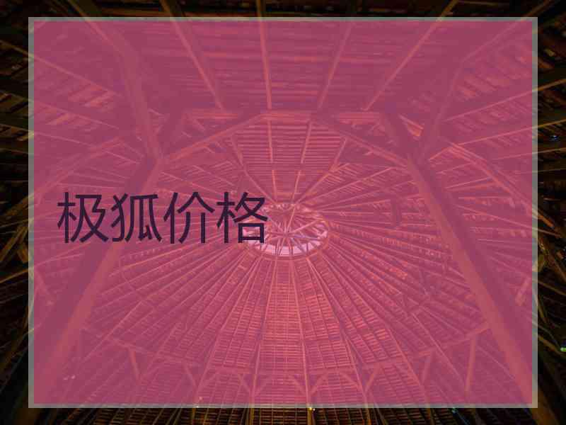 极狐价格