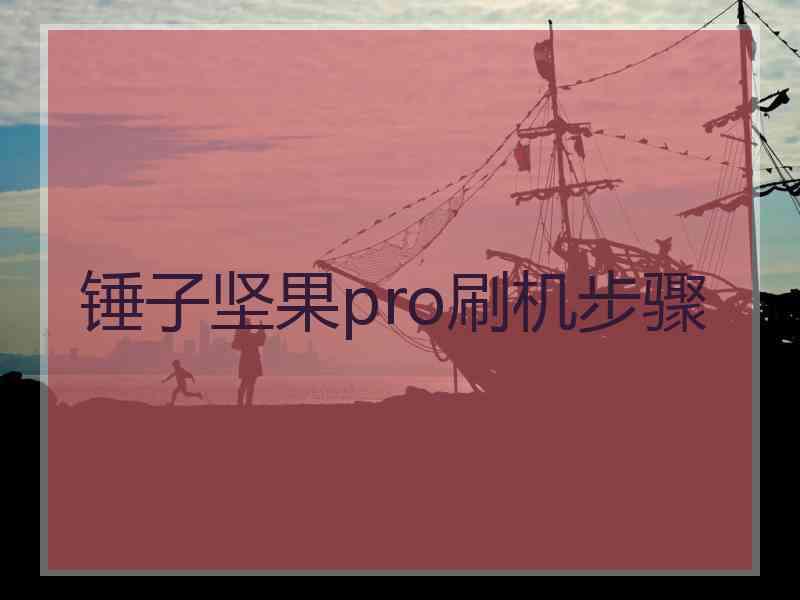 锤子坚果pro刷机步骤