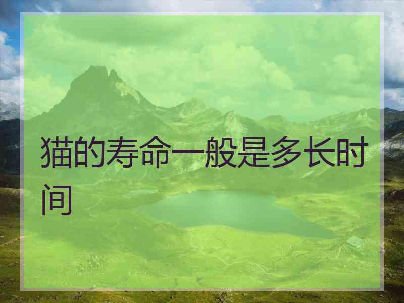 猫的寿命一般是多长时间
