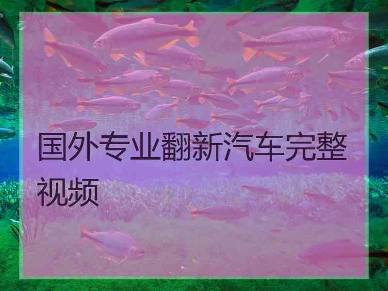 国外专业翻新汽车完整视频