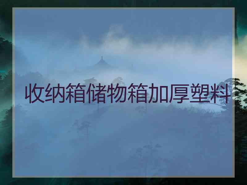 收纳箱储物箱加厚塑料