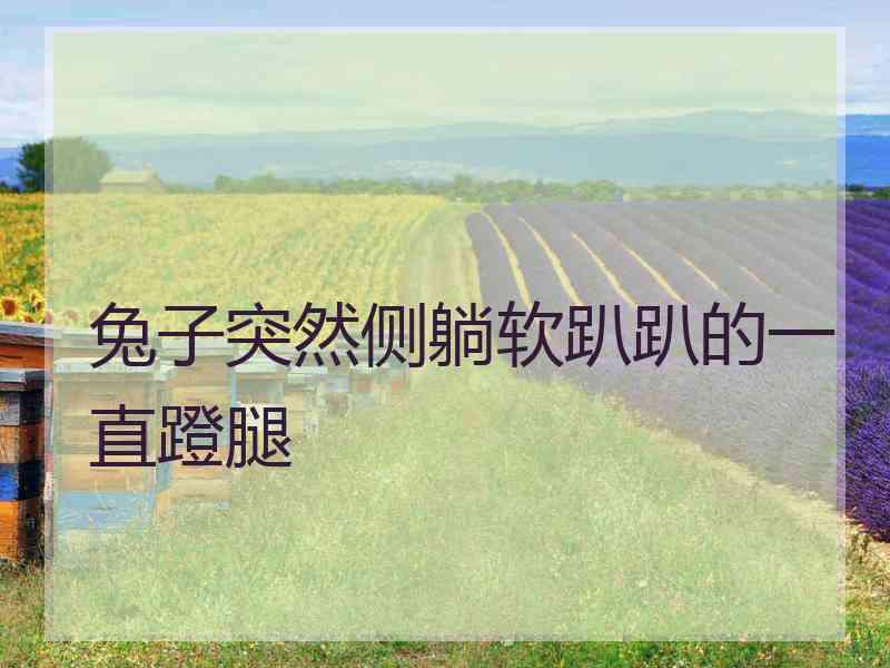 兔子突然侧躺软趴趴的一直蹬腿