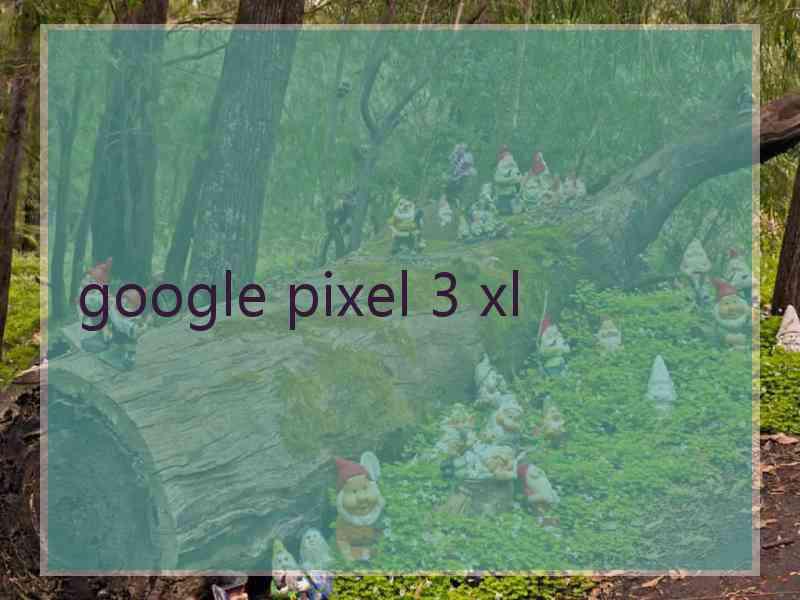 google pixel 3 xl