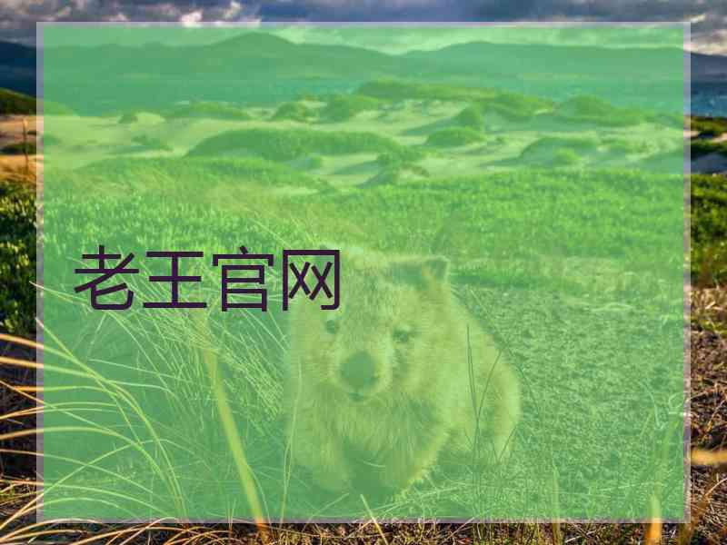 老王官网