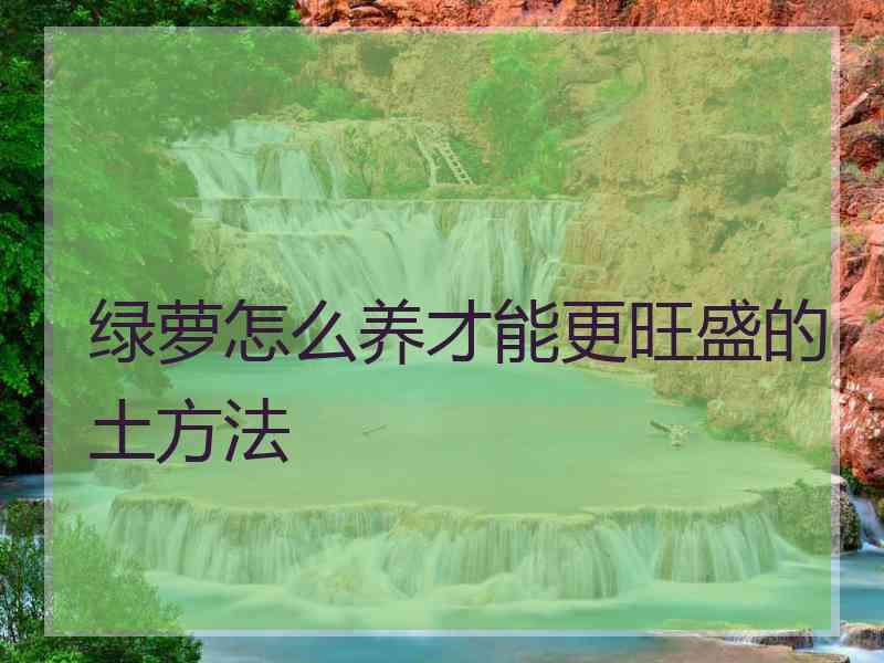 绿萝怎么养才能更旺盛的土方法