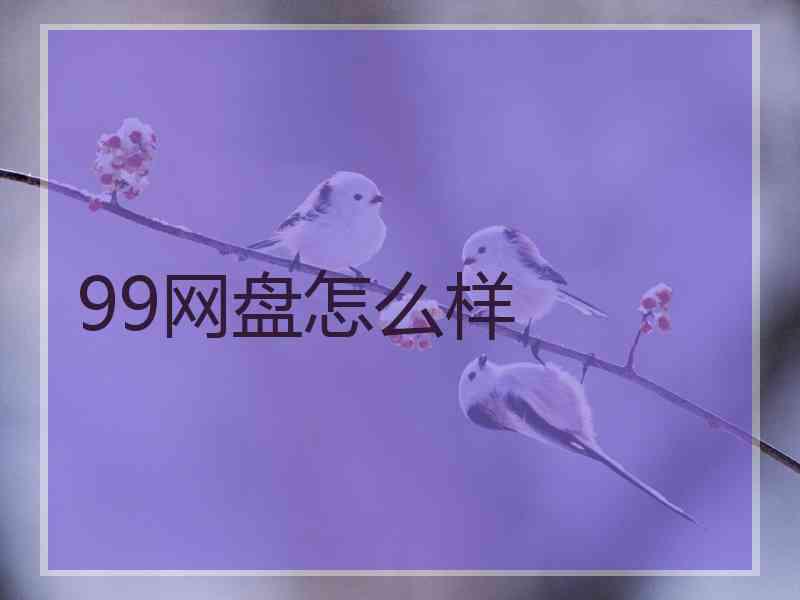 99网盘怎么样