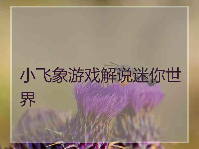 小飞象游戏解说迷你世界