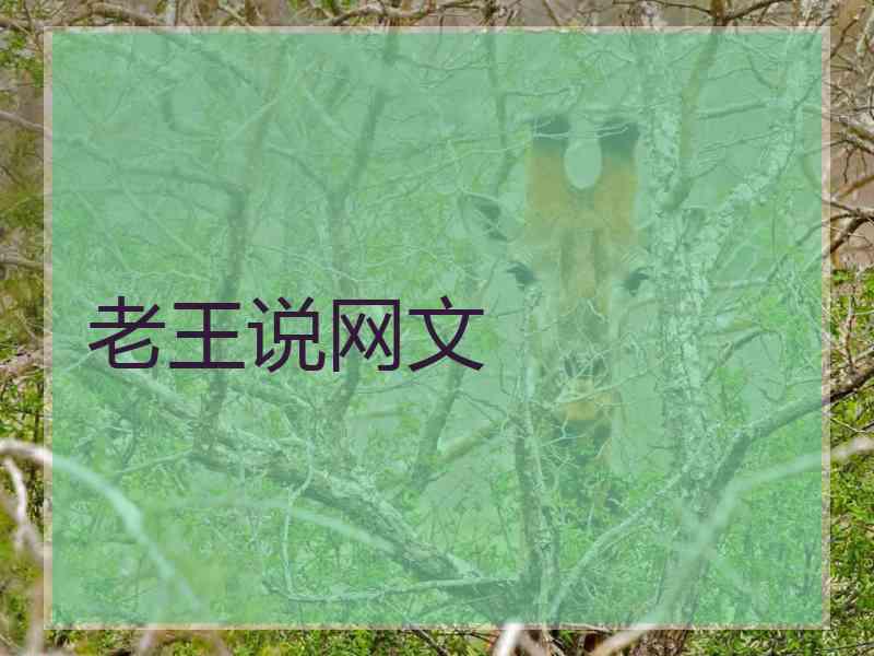 老王说网文