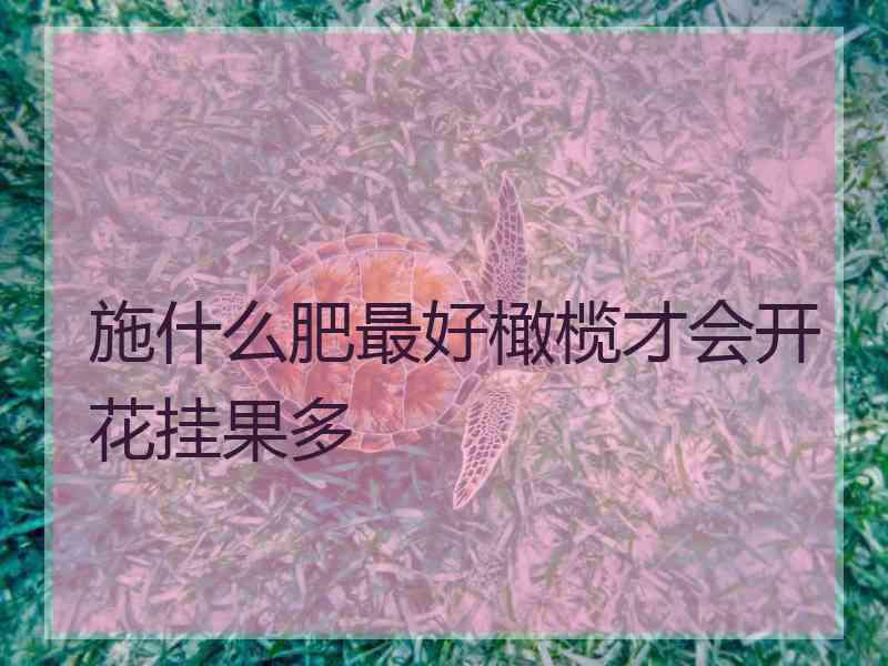 施什么肥最好橄榄才会开花挂果多