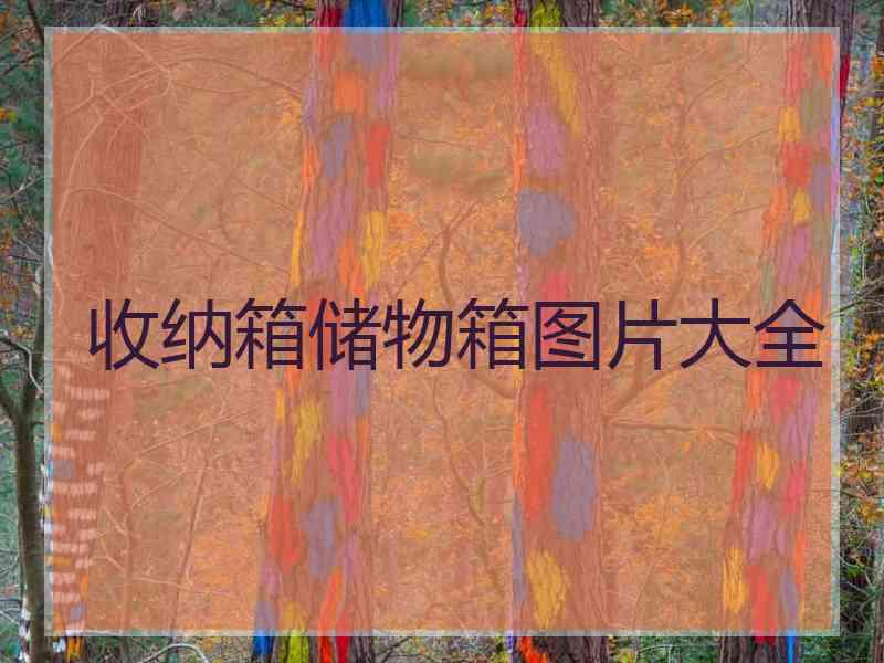 收纳箱储物箱图片大全