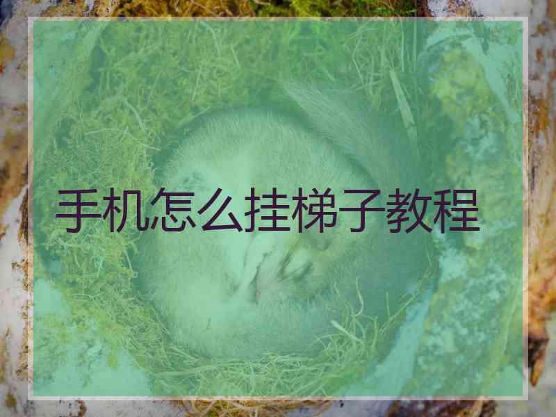 手机怎么挂梯子教程