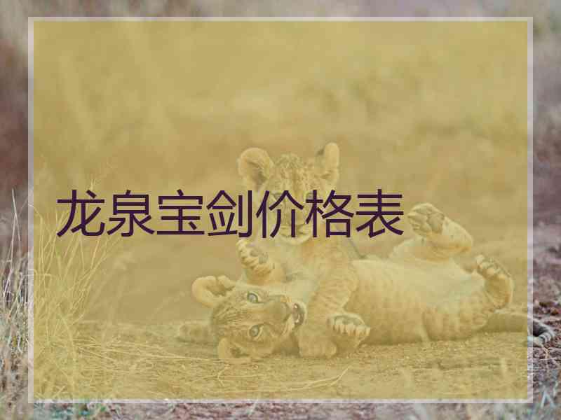龙泉宝剑价格表