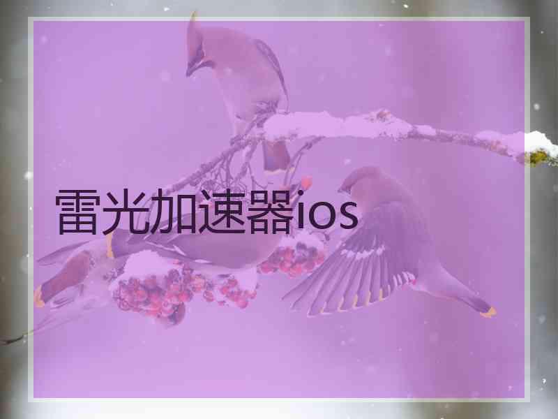 雷光加速器ios