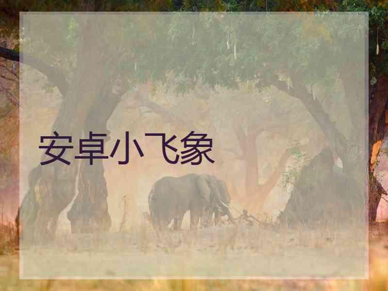 安卓小飞象