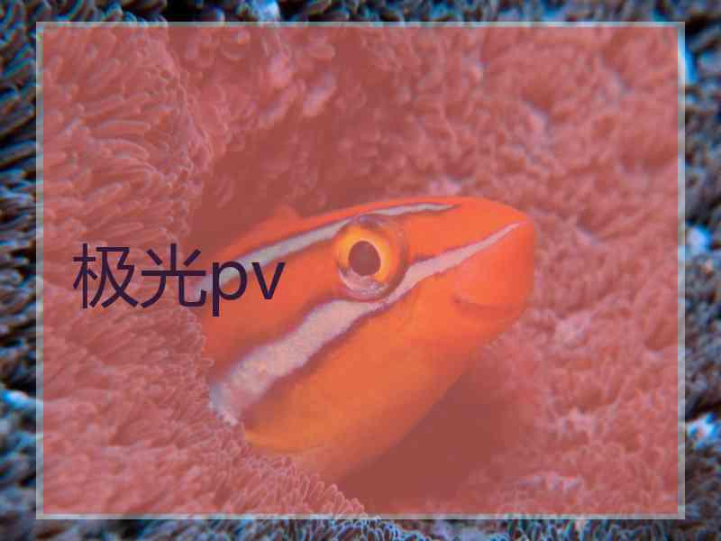 极光pv