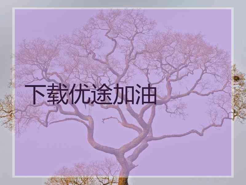 下载优途加油