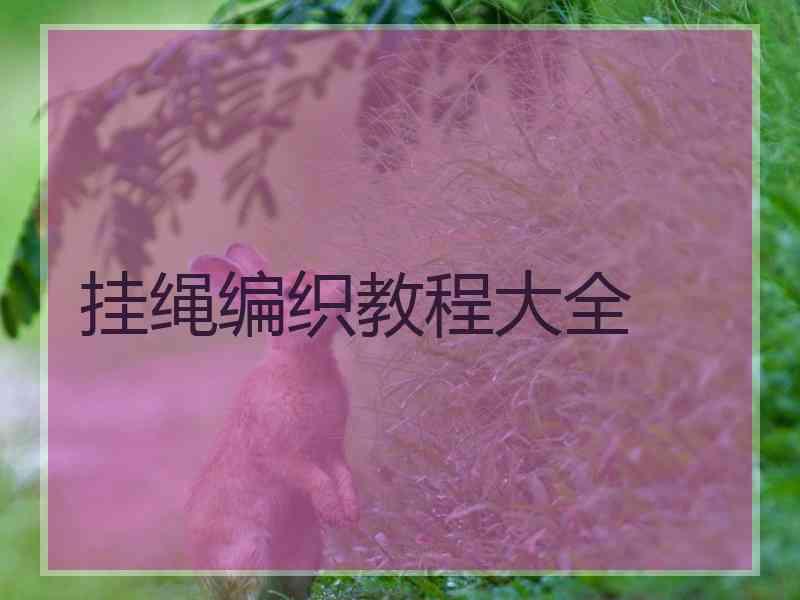 挂绳编织教程大全