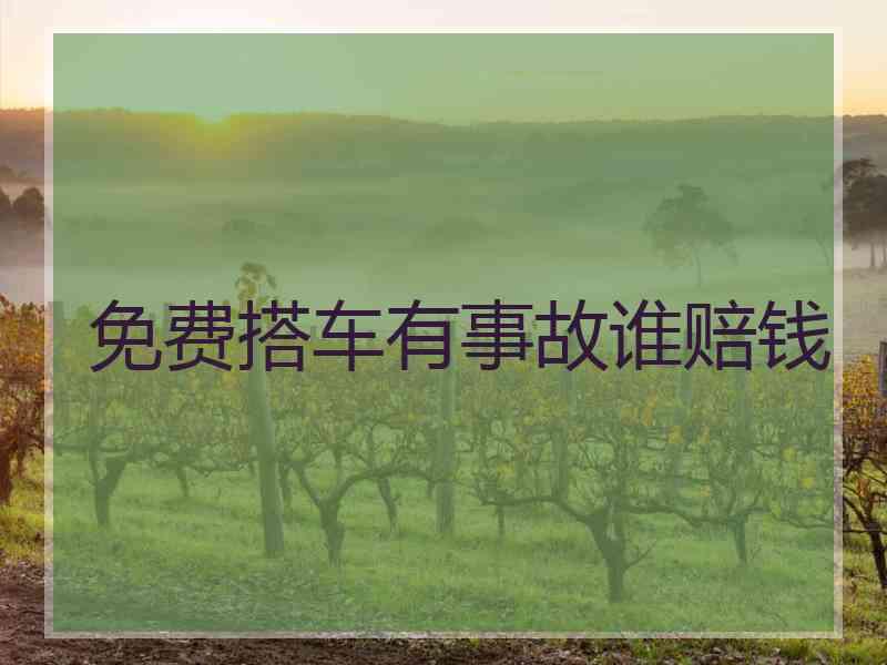免费搭车有事故谁赔钱