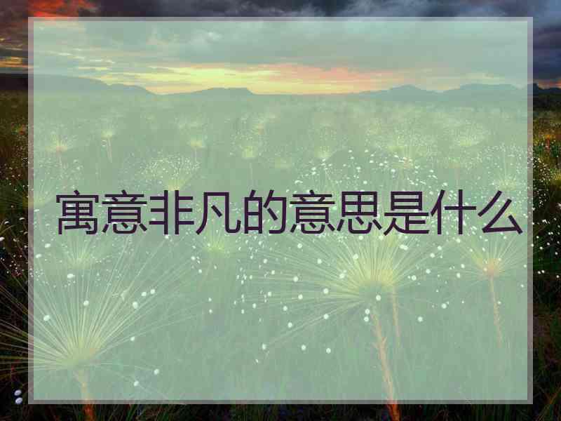 寓意非凡的意思是什么