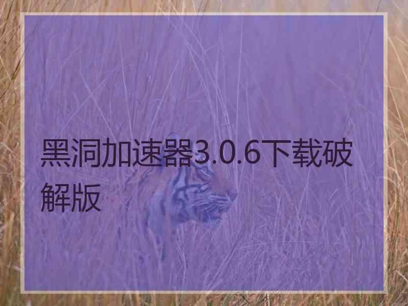 黑洞加速器3.0.6下载破解版