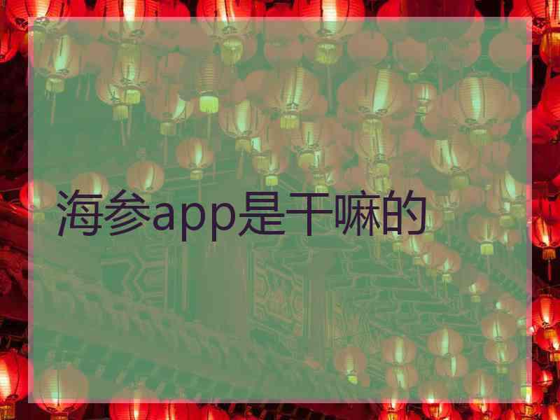海参app是干嘛的