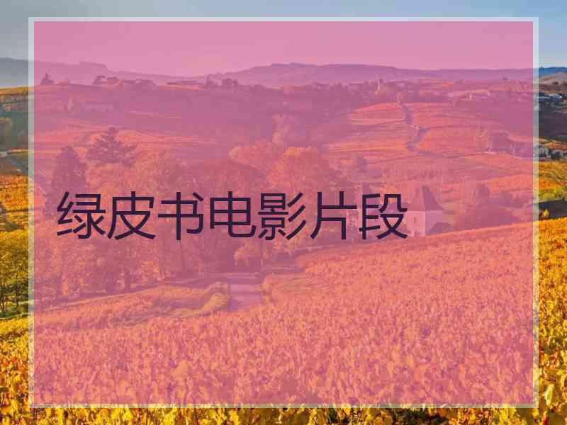 绿皮书电影片段