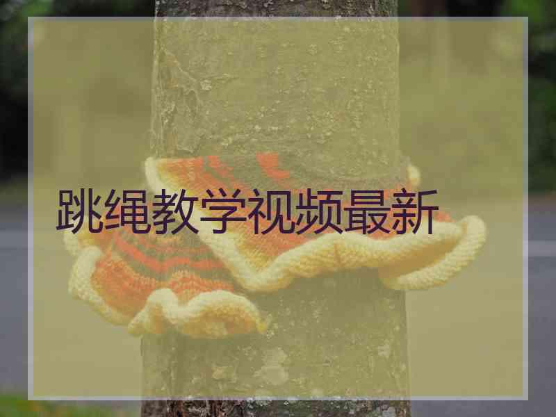 跳绳教学视频最新